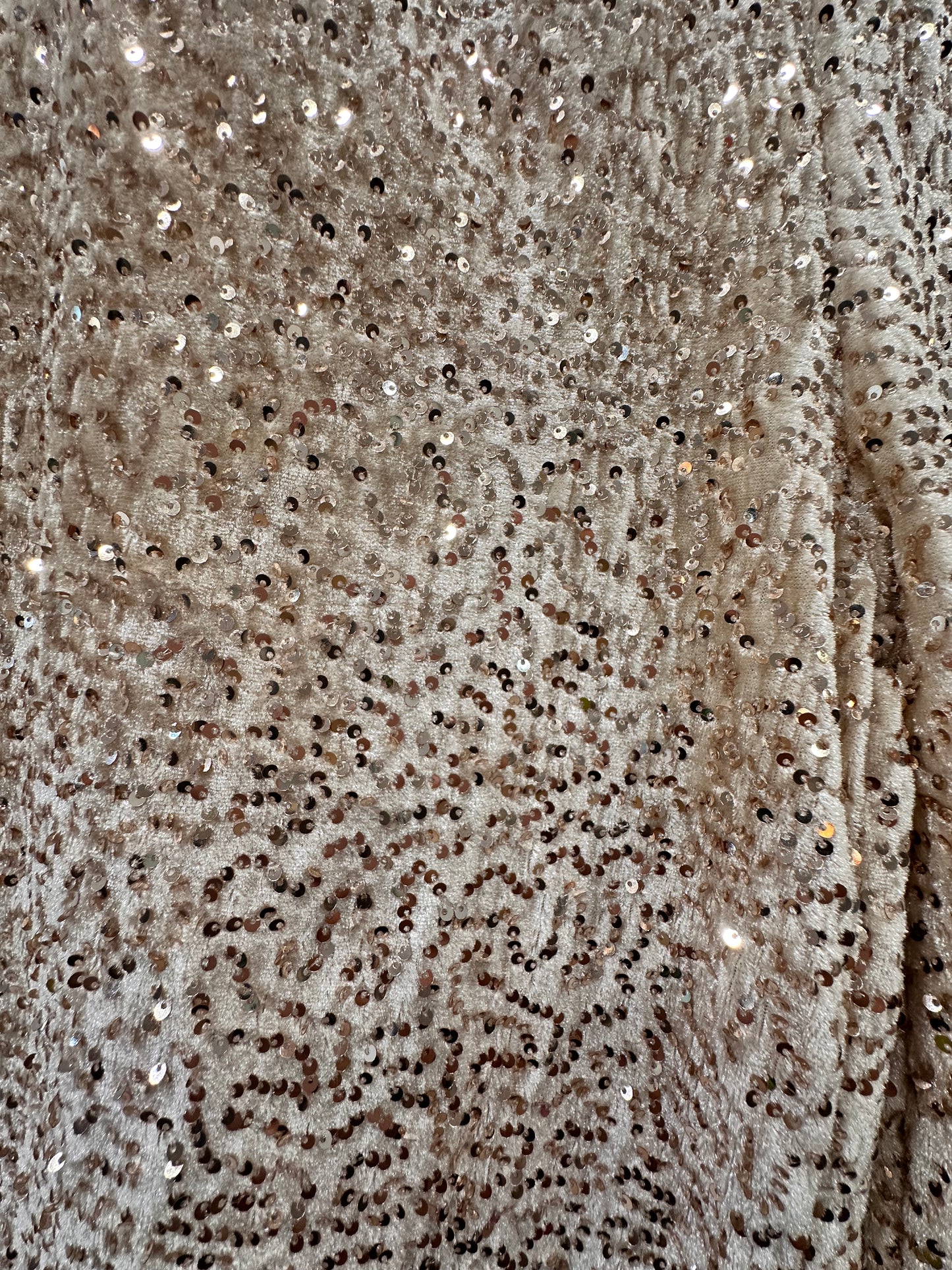 Charizma - Βελούδινη Παντελόνα με Παγιέτες & Ελαστική Μέση Μπεζ