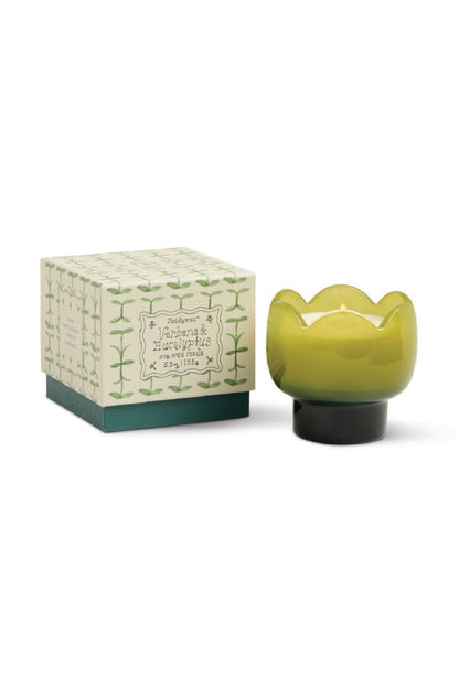 Paddywax Tulip - κερί σόγιας σε γυάλινο δοχείο, Verbena & Lemongrass 155gr