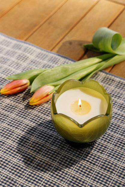 Paddywax Tulip - κερί σόγιας σε γυάλινο δοχείο, Verbena & Lemongrass 155gr