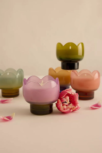 Paddywax Tulip - κερί σόγιας σε γυάλινο δοχείο, Wisteria & Willow 155gr