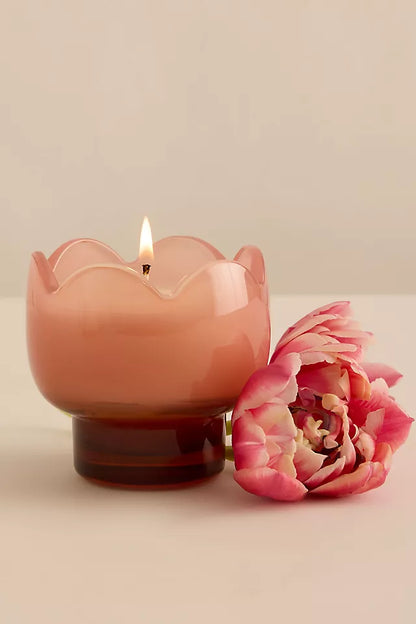 Paddywax Tulip - κερί σόγιας σε γυάλινο δοχείο, Cactus Flower 155gr