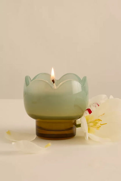 Paddywax Tulip - κερί σόγιας σε γυάλινο δοχείο, Wisteria & Willow 155gr