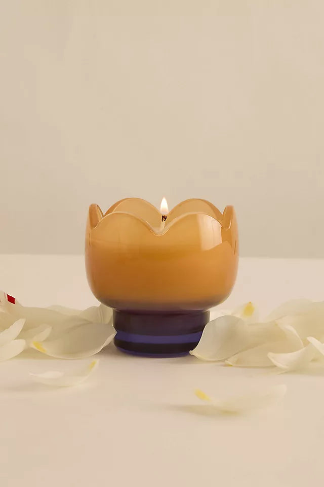 Paddywax Tulip - κερί σόγιας σε γυάλινο δοχείο, Garden & Grove 155gr