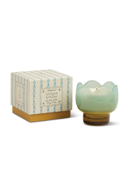 Paddywax Tulip - κερί σόγιας σε γυάλινο δοχείο, Wisteria & Willow 155gr