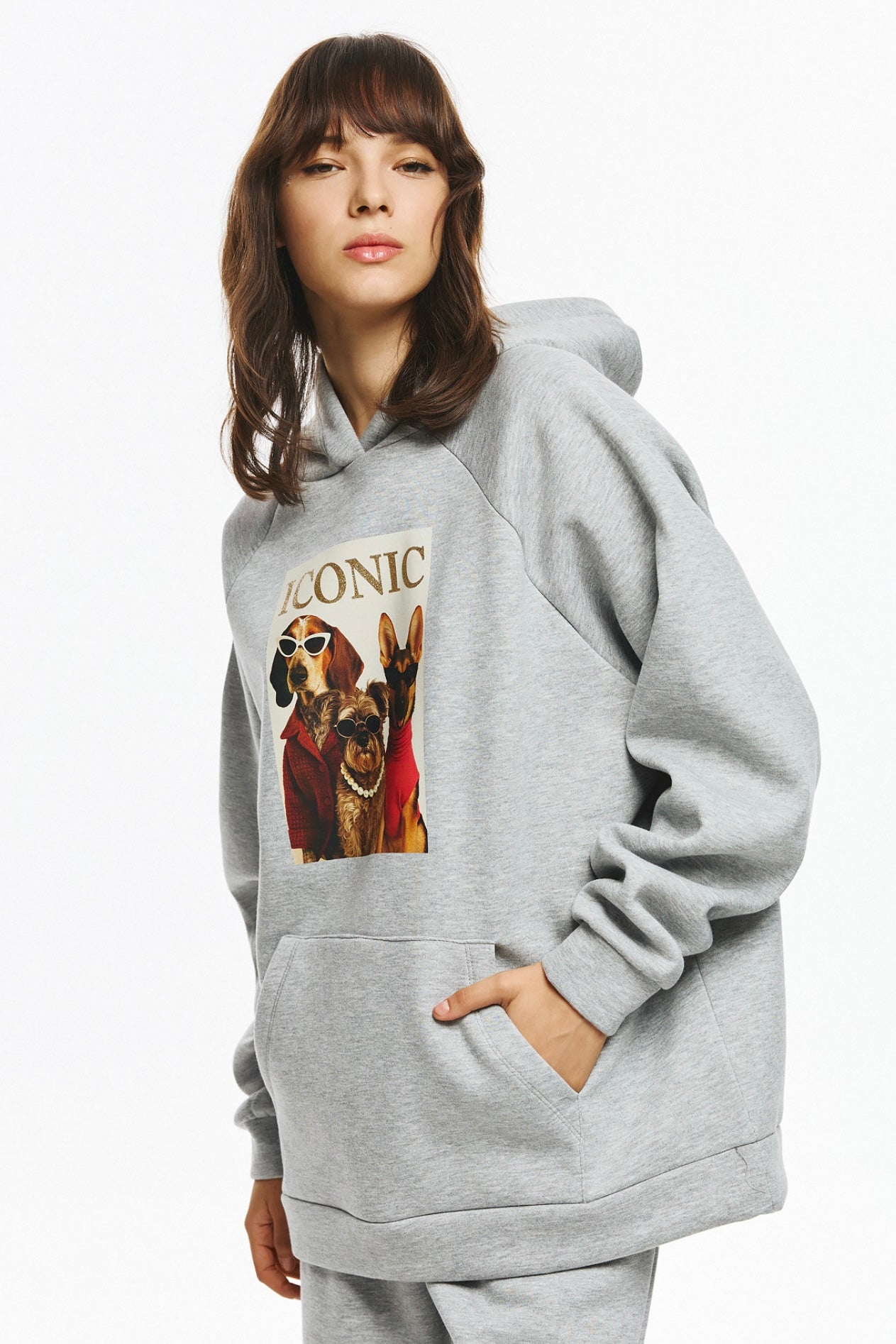 Unitee- Φούτερ Μπλούζα Γκρι με Κουκούλα Iconic