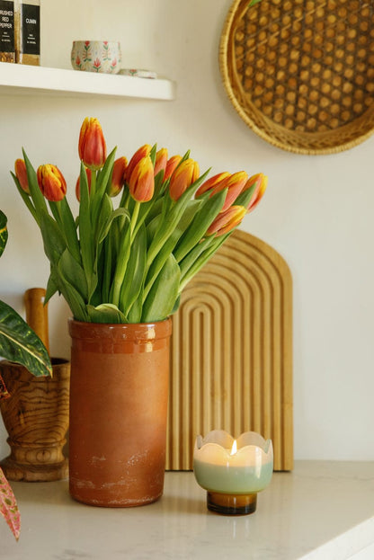 Paddywax Tulip - κερί σόγιας σε γυάλινο δοχείο, Wisteria & Willow 155gr