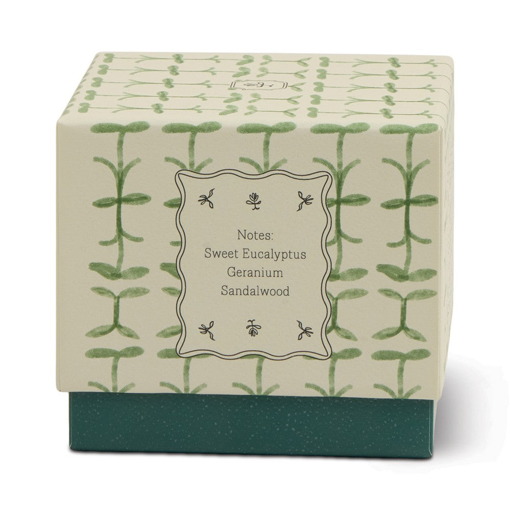 Paddywax Tulip - κερί σόγιας σε γυάλινο δοχείο, Verbena & Lemongrass 155gr