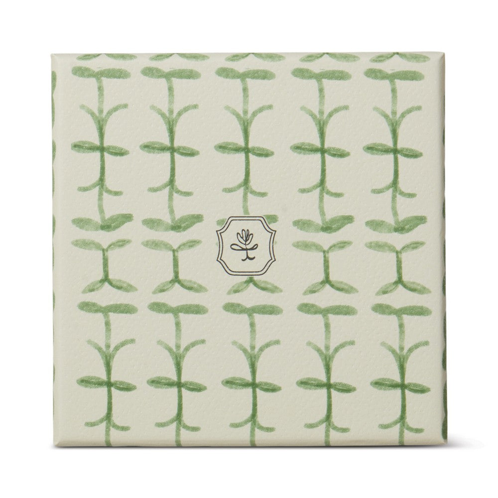 Paddywax Tulip - κερί σόγιας σε γυάλινο δοχείο, Verbena & Lemongrass 155gr