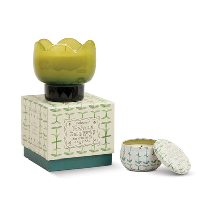 Paddywax Tulip - κερί σόγιας σε γυάλινο δοχείο, Verbena & Lemongrass 155gr