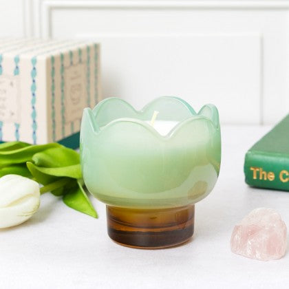 Paddywax Tulip - κερί σόγιας σε γυάλινο δοχείο, Wisteria & Willow 155gr